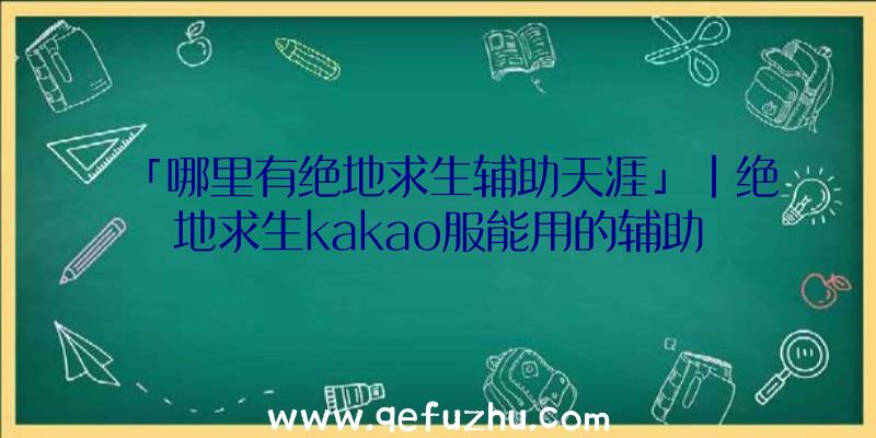 「哪里有绝地求生辅助天涯」|绝地求生kakao服能用的辅助